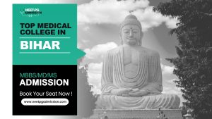 Bihar medical colleges