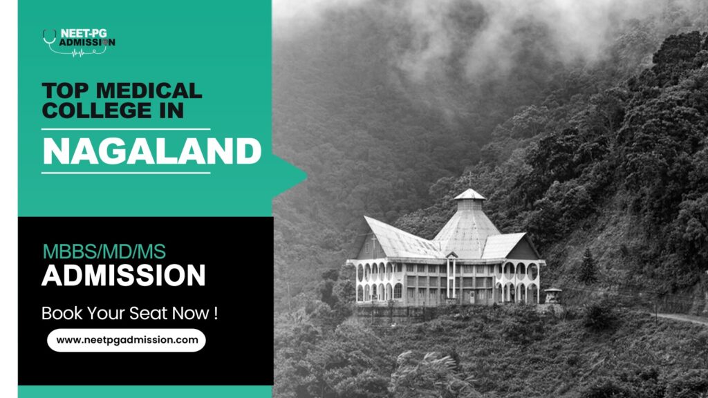 WhatsApp Image 2025 11 13 at 10.30.05 17a259f0